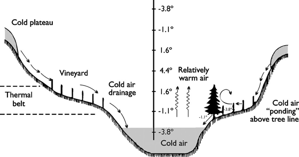 Effect of vineyard site and topography on air flow