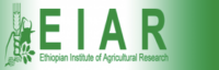 EIAR logo