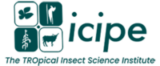 ICIPE logo