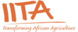 IITA logo