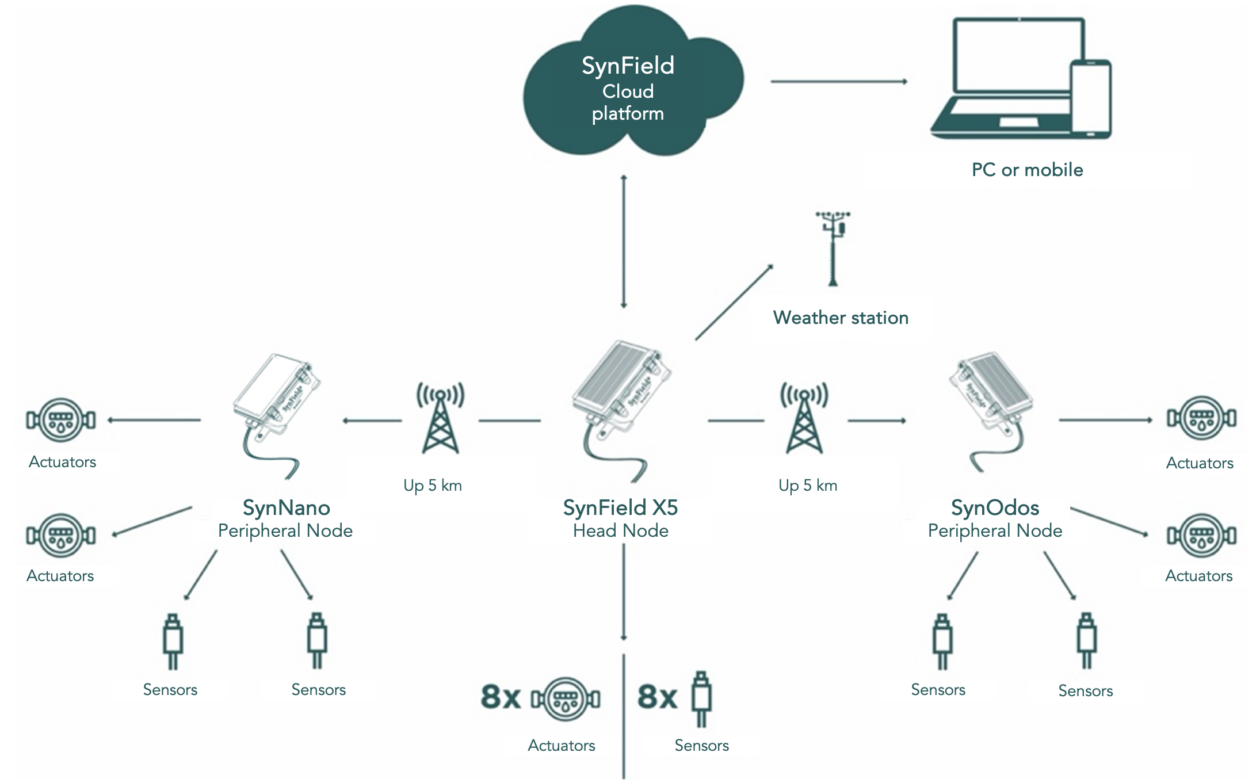 SynField digital ecosystem