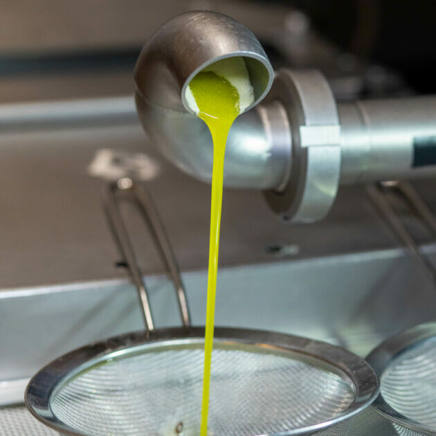 AgiaSofiaEstate Oil process